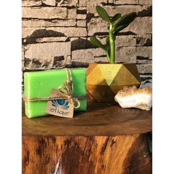 Elige Doğal Aloe Vera Katı Sabun 100 gr