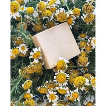 Proherbal Papatya Katı Sabun 100 gr