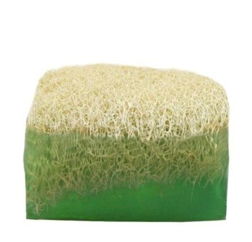 Glow&Glow Aloe Vera Katı Sabun 100 gr
