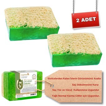 Organicsun Doğal Kabak Lifli Kabak Lifli-Çay Ağacı Katı Sabun 2x120 gr