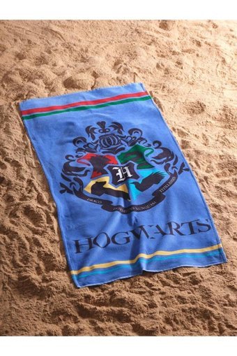 Warner Bross Harry Potter Pamuklu Plaj Havlusu Çok Renkli