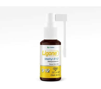 Ligone Methyl Sıvı Yetişkin Vitamin 30 ml