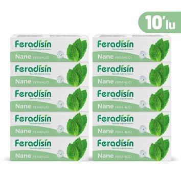 Feradisin Diş Macunu Nane Ferahlığı 75 Ml( 10 Adet)