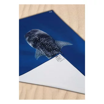Dogo Mare Spotted Whale Plaj Havlusu Çok Renkli