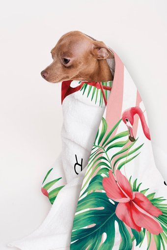 Aıda Home Hello Summer Plaj Havlusu Çok Renkli
