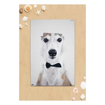 Dogo Mare Italian Greyhound Plaj Havlusu Çok Renkli