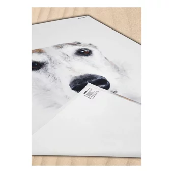 Dogo Mare Italian Greyhound Plaj Havlusu Çok Renkli