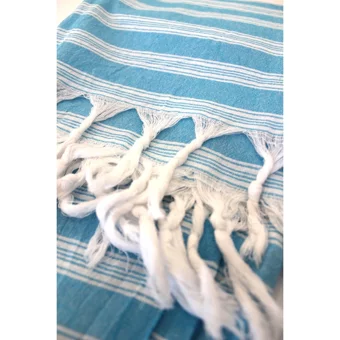 Asa Cotton Rejenere Saraylı Pamuklu Plaj Havlusu Mavi