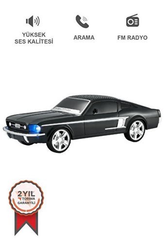 Torima WS-1967 10 W Radyolu Işıklı Taşınabilir Siyah Bluetooth Hoparlör