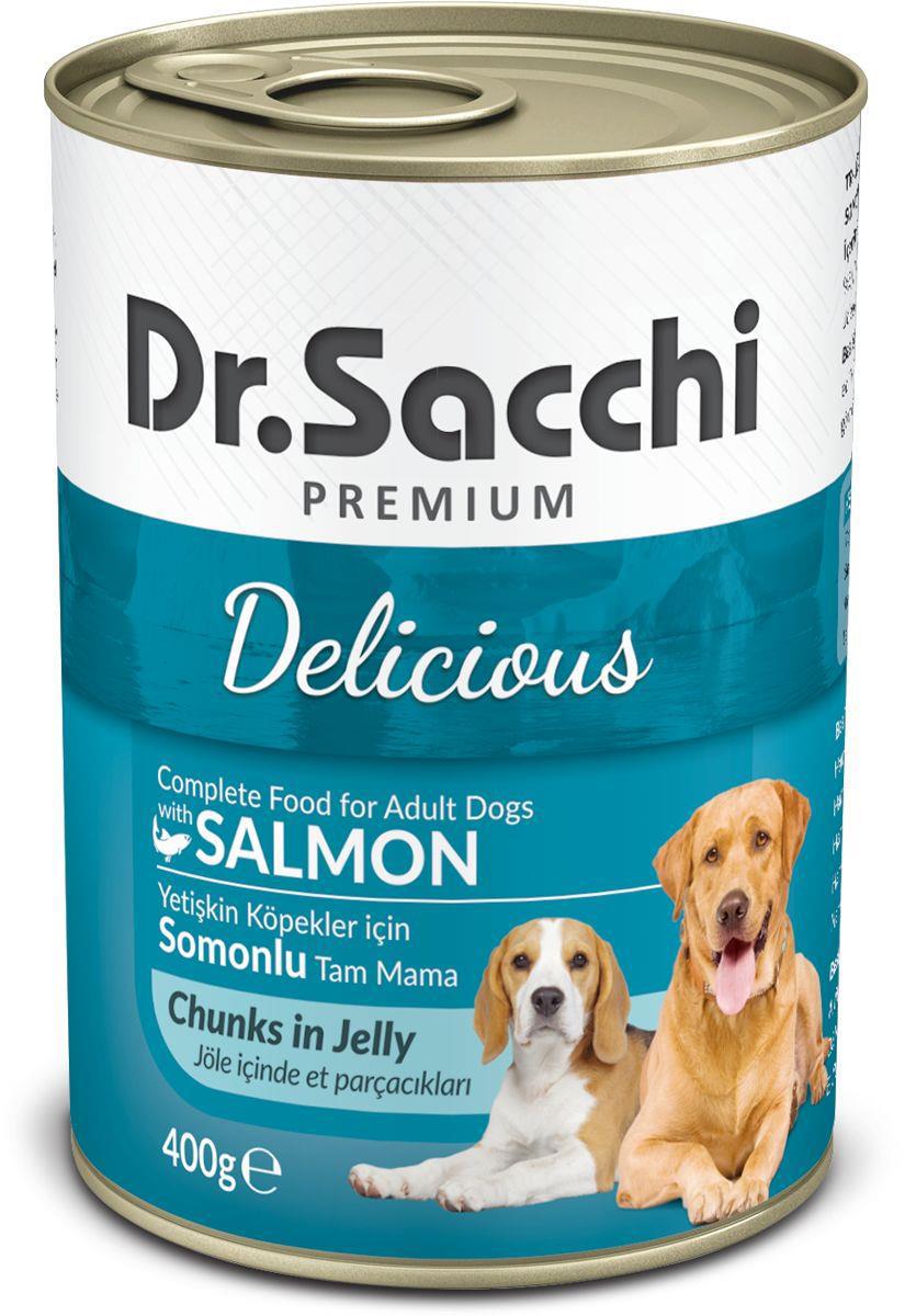 Dr.sacchi Premium Delicious Somonlu Jöleli-Parça Etli Yetişkin Köpek Maması 400 gr Tekli