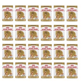 Royal Canin Poodle Kümes Hayvanlı Parça Etli Yetişkin Köpek Maması 24 x 85 gr 24'lü