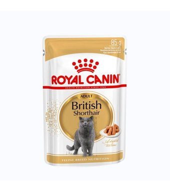 Royal Canin British Shorthair Tavuklu Tahılsız Yetişkin Kedi Maması 12x85 gr