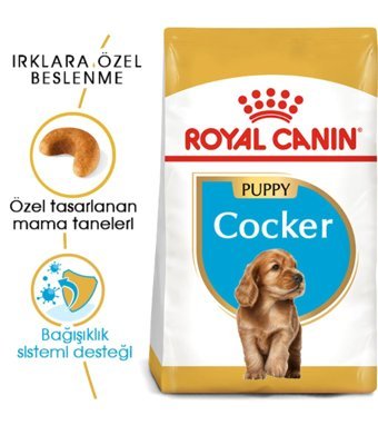 Royal Canin Cocker Tavuklu Yavru Köpek Maması 3 kg