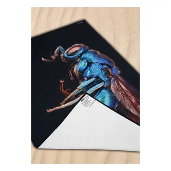 Dogo Mare Cuckoo Wasp Plaj Havlusu Çok Renkli