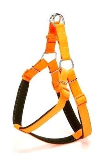 Doggie Comfort Ronin Ayarlanabilir Bel Tasması Gezdirme Köpek Tasması Turuncu