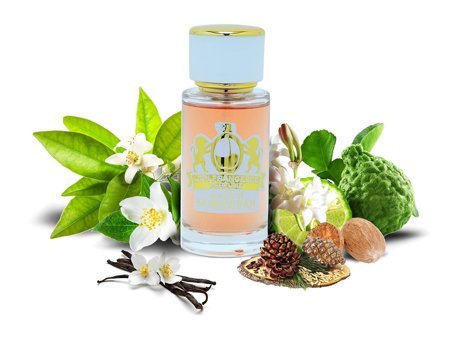 Lion Francesco Nur Sultan EDP Bergamot-Fresh-Vetiver Kadın Parfüm 50 ml