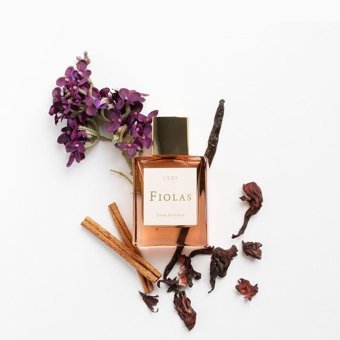 Fiolas Clio Extrait EDP Aromatik-Bergamot-Narenciye Kadın Parfüm 50 ml