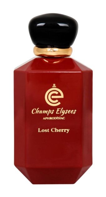 Champs Elysees Elysees EDP Amber-Çiçeksi-Odunsu Kadın Parfüm 100 ml