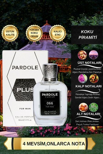 Pardole E-066 EDP Odunsu-Oryantal-Vetiver Erkek Parfüm 50 ml