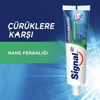 Signal Çürüklere Karşı Naneli Florürlü Diş Macunu 100 ml
