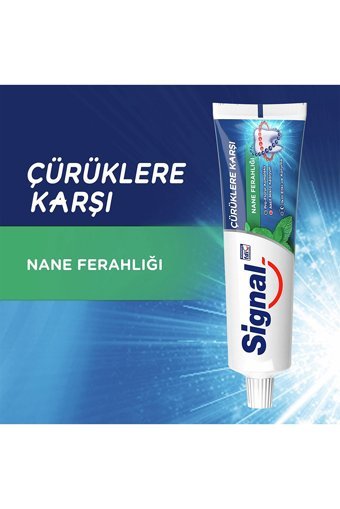 Signal Çürüklere Karşı Naneli Florürlü Diş Macunu 6x100 ml