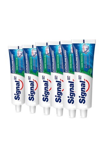 Signal Çürüklere Karşı Naneli Florürlü Diş Macunu 6x100 ml