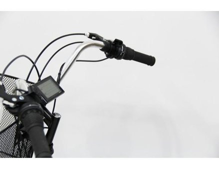 Dorello Cargo 2960 1000 W 25 Km 26 Jant 21 Vites Elektrikli Bisiklet Siyah