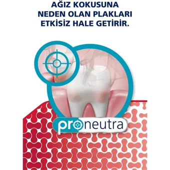 Parodontax Diş Eti Naneli Florürlü Diş Macunu 2x75 ml