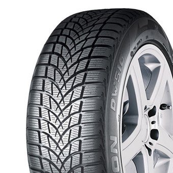 Dayton 205/55 R16 DW510E 91H M+S 3PMSF Kış Lastiği 2023