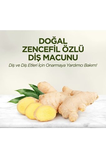 Eyüp Sabri Tuncer Zencefil Organik Florürsüz Diş Macunu 90 ml
