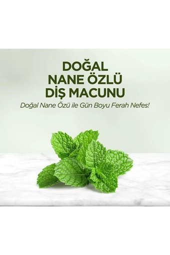 Eyüp Sabri Tuncer Naneli Organik Florürsüz Diş Macunu 6x90 ml