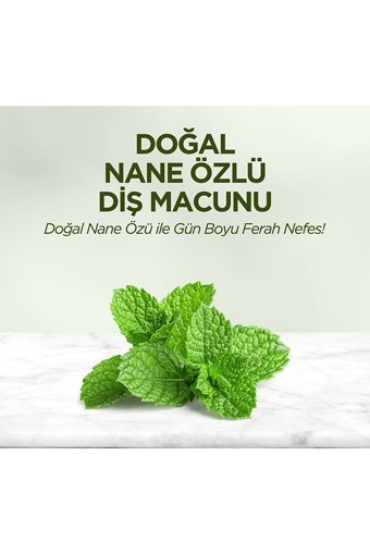 Eyüp Sabri Tuncer Naneli Organik Florürsüz Diş Macunu 90 ml
