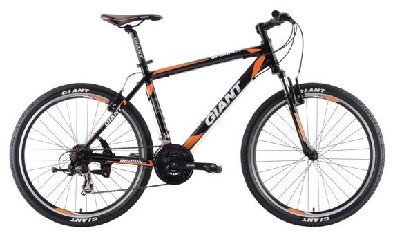 Giant Rincon Disc 24 Jant 24 Vites Dağ Bisikleti Turuncu