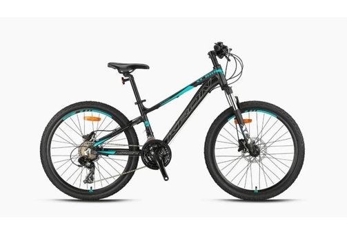 Kron XC 100 29 Jant 21 Vites Dağ Bisikleti Gri-Siyah-Turkuaz 13'