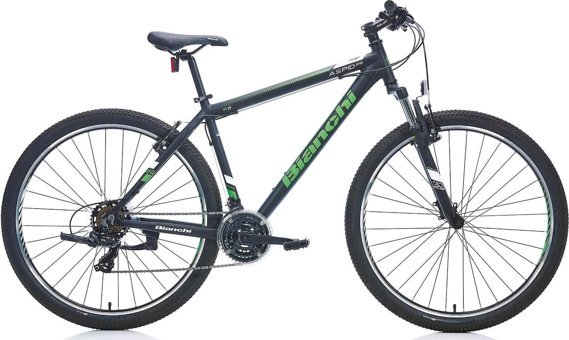 Bianchi Aspid 29 Jant 21 Vites Dağ Bisikleti Siyah-Yeşil