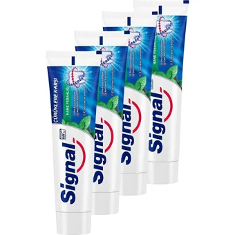 Signal Çürüklere Karşı Naneli Florürlü Diş Macunu 4x100 Ml
