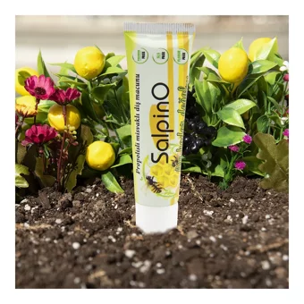 Salpin Salpino Propolis Organik Florürsüz Diş Macunu 75 ml