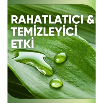 Sensodyne Nourish Rahatlatıcı Etki Naneli Florürlü Diş Macunu 75 ml