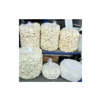 Bakkal Hasan Tam Yağlı Antep Keçi Peyniri 10 kg