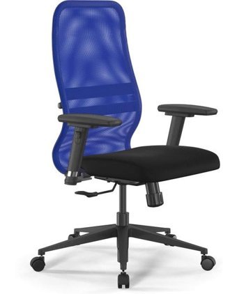 Ergolife 1225841 Kolçaklı Dönerli Gri-Mavi-Siyah Çalışma Sandalyesi