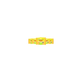 Frico Tam Yağlı Sade Gouda İnek Peyniri 5x150 gr