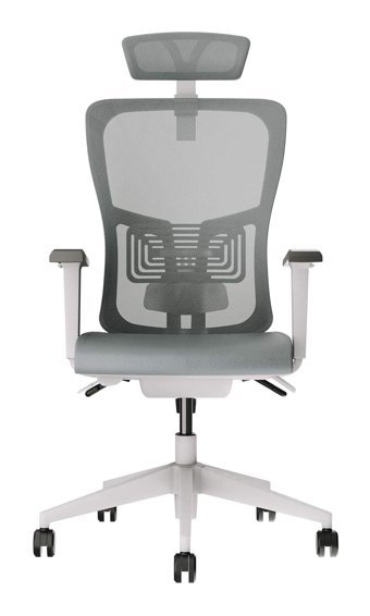 Decofis Lumbar Plus Başlıklı Kolçaklı Dönerli Gri Çalışma Sandalyesi