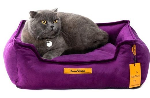 Brave Paws Tüplü Elyaf Dolgulu Yıkanabilir Tek Fonksiyonlu 50x50 cm Minder Kedi Yatağı Mor