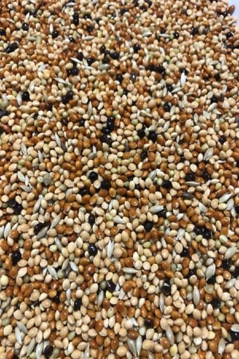Hobi Karışık Vitaminli Kuş Yemi 5 kg