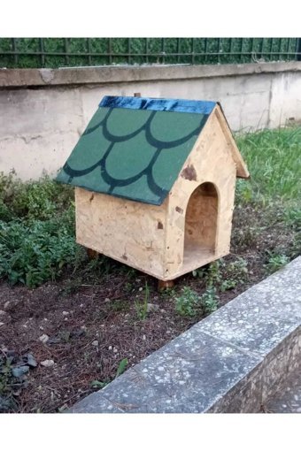 Msay Kulübe Dikdörtgen Tek Katlı Su Geçirmez İç-Dış Mekan Osb Levha Kedi Evi Doğal Ahşap