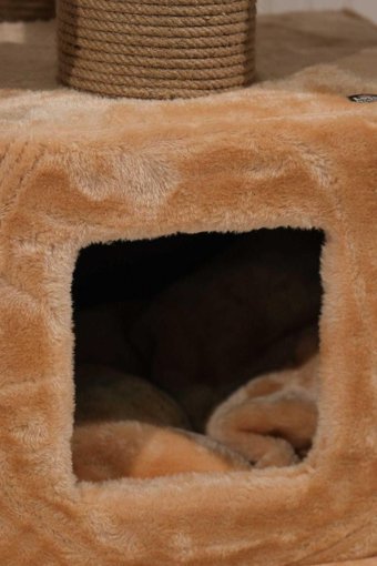 Lotus Furniture Pet Series Los Angeles Kule Tipi Hamaklı Tırmalamalı 6 Katlı İç Mekan Mdf-Peluş Kedi Evi Bal Rengi
