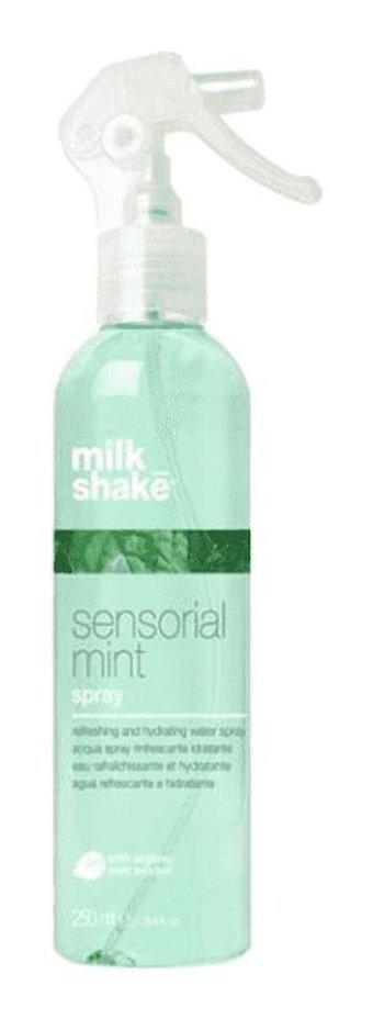 Milkshake Sensorial Mint Nane Aromalı Nemlendirici Tüm Saçlar İçin Durulanmayan Kadın Saç Kremi 250 ml