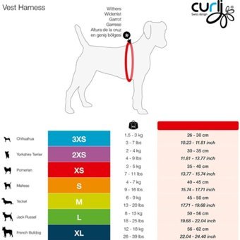 Curli Merino 3XS Makaralı Boyun H Tipi Köpek Tasması Siyah