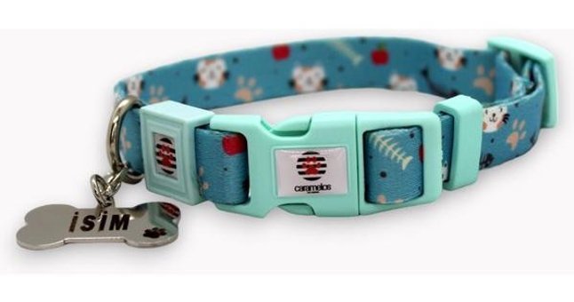 Caramelos M İsimli Boyun Köpek Tasması Çok Renkli