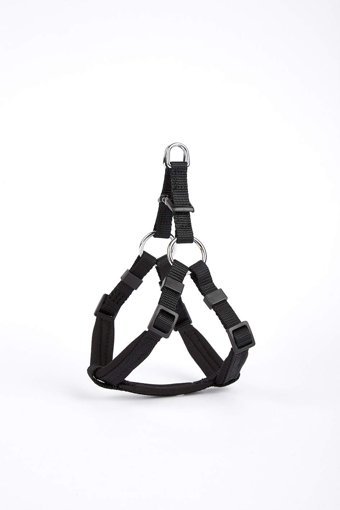 Doggie 2XS Ayarlanabilir Boyun Köpek Tasması Lacivert